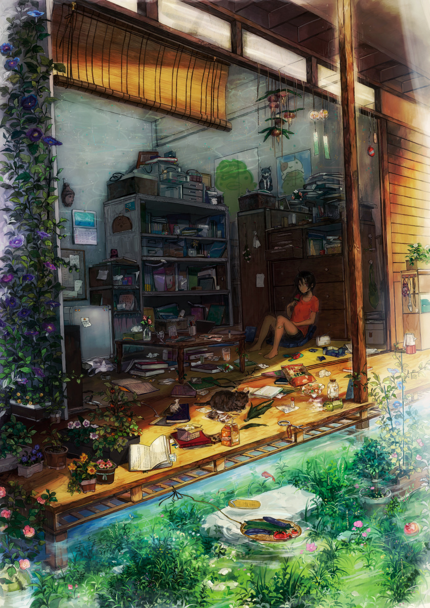 bandaid, barefoot, blinds, book, brown_eyes, brown_hair, cat, corn