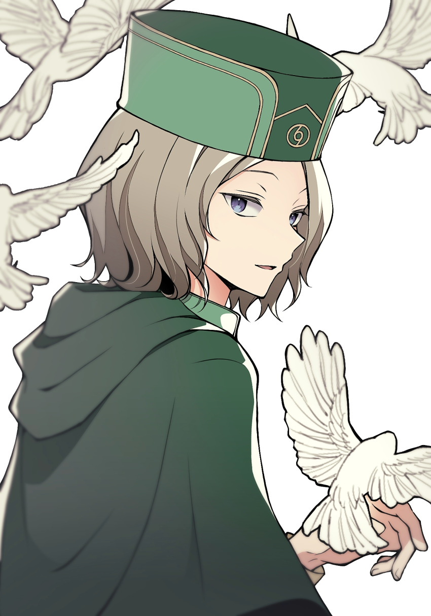 1boy, bird, bird_on_hand, blue_eyes, brown_hair, cape, dove, green_cape