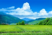 Post 154022