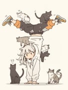 Post 148053