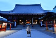 Post 10046071