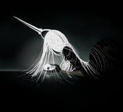 Post 10412618