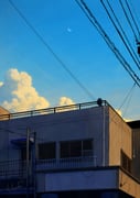 Post 11084466