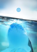 Post 10290780