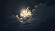Post 11107796