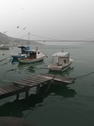 Post 12121615