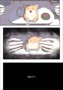 Post 12070017