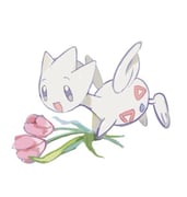 Post 10233102
