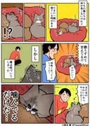 Post 10781263