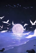 Post 12066562