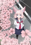 Post 11450458