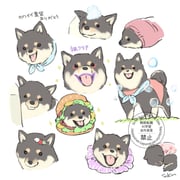 Post 11554088