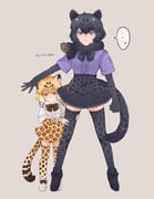 Post 6477795
