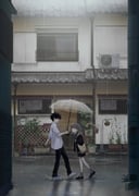 Post 12271455