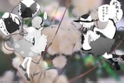 Post 11822392