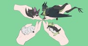 Post 8405287