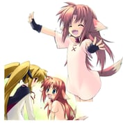 Post 3632555