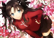 Post 1694243