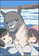 Post 12202849