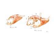 Post 10844955