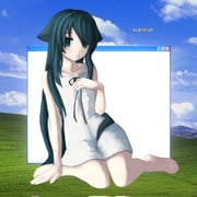 Post 11837617