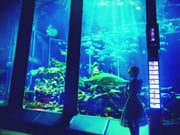 Post 4507416