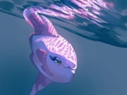 Post 12130638