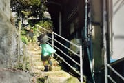 Post 11781410