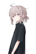 Post 10073881
