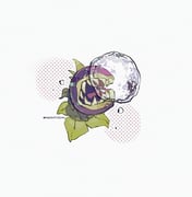 Post 10417324
