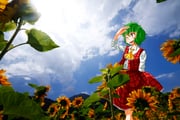 Post 2263017