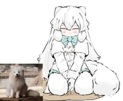 Post 8731160