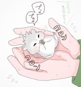 Post 12318403