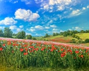 Post 12258578
