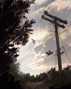 Post 10581065