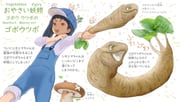 Post 10321748