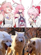 Post 11332618