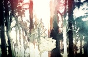 Post 12301180