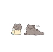 Post 12044518