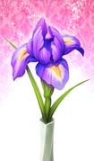 Post 8992807