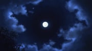 Post 11865115