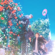 Post 10594789