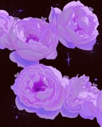 Post 12036046