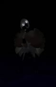 Post 12191857
