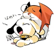 Post 10636818