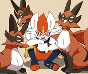 Post 11055610