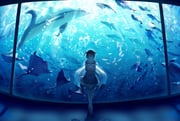 Post 3481055