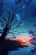 Post 4651308