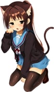 Post 11160963