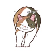 Post 9617255